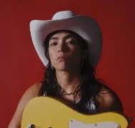 水泥礓蹉坡道图片